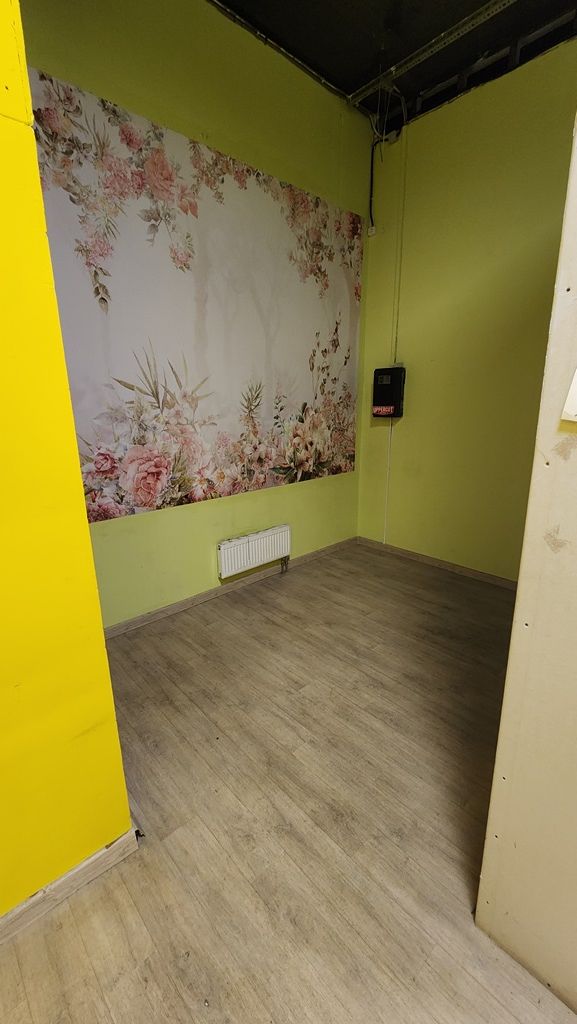 Москва, ул. Куликовская, д.6 ТЦ Алфавит 34,6 кв.м