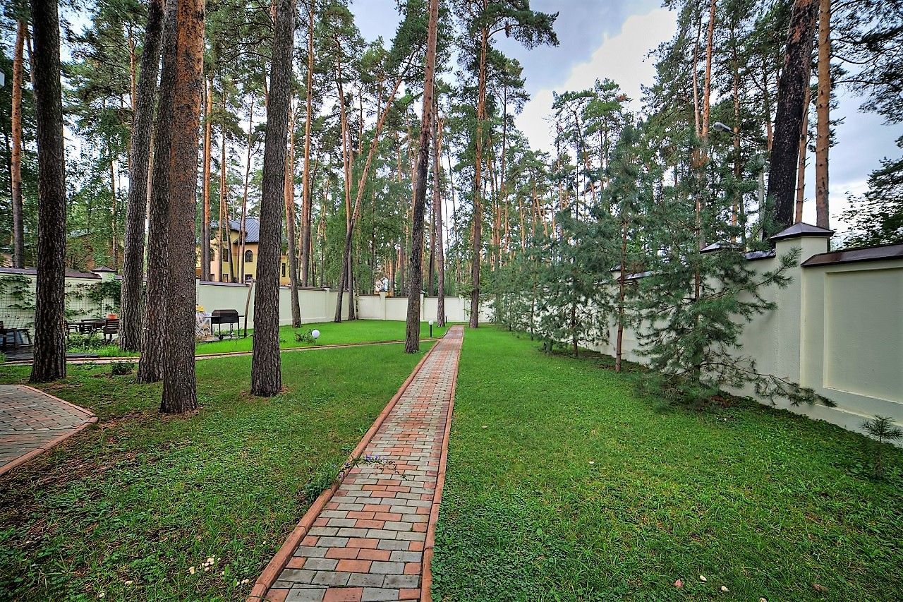 Лес Барвиха
