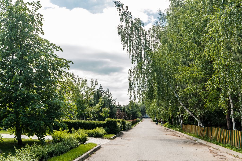 Лес Барвиха