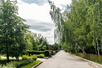 Лес Барвиха
