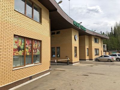 Лесной Пейзаж