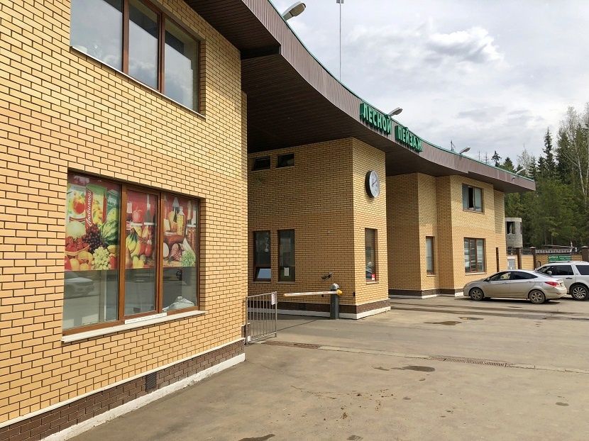 Лесной Пейзаж