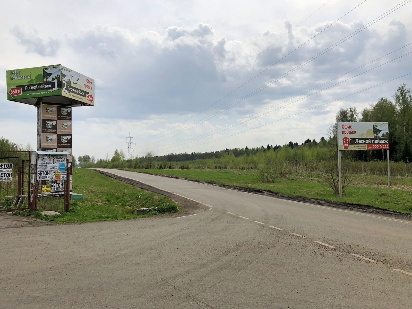 Лесной Пейзаж
