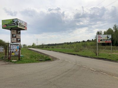 Лесной Пейзаж