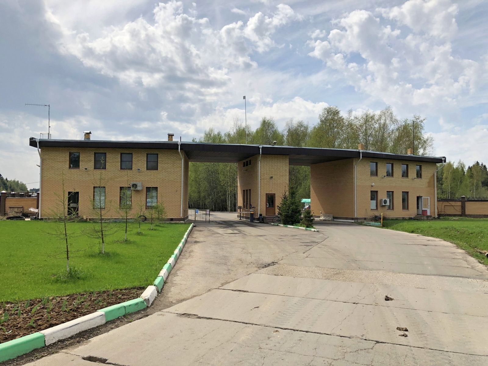 Лесной Пейзаж