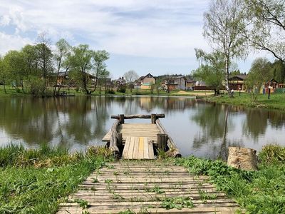 Лесной Пейзаж