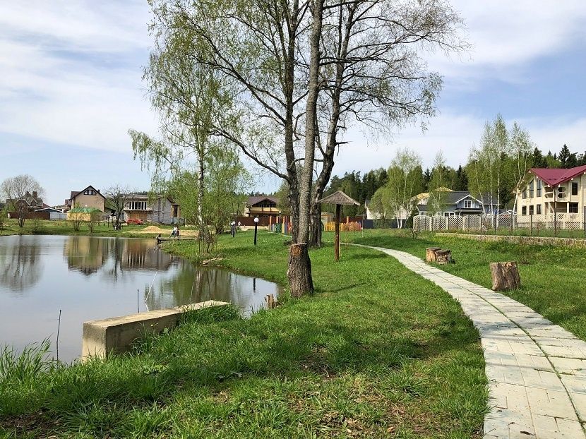 Лесной Пейзаж