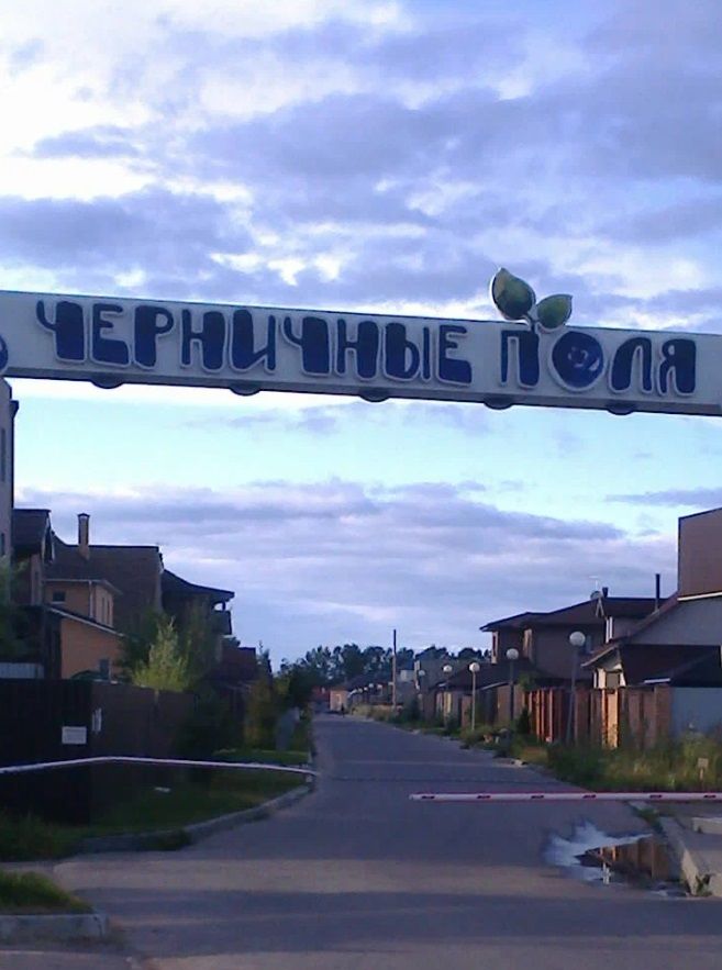 Черничные Поля