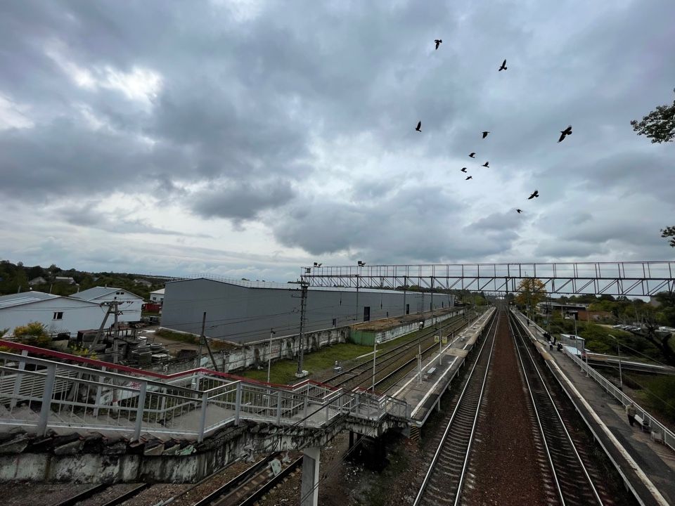 Московская обл, Дорохово, д.1 Производство