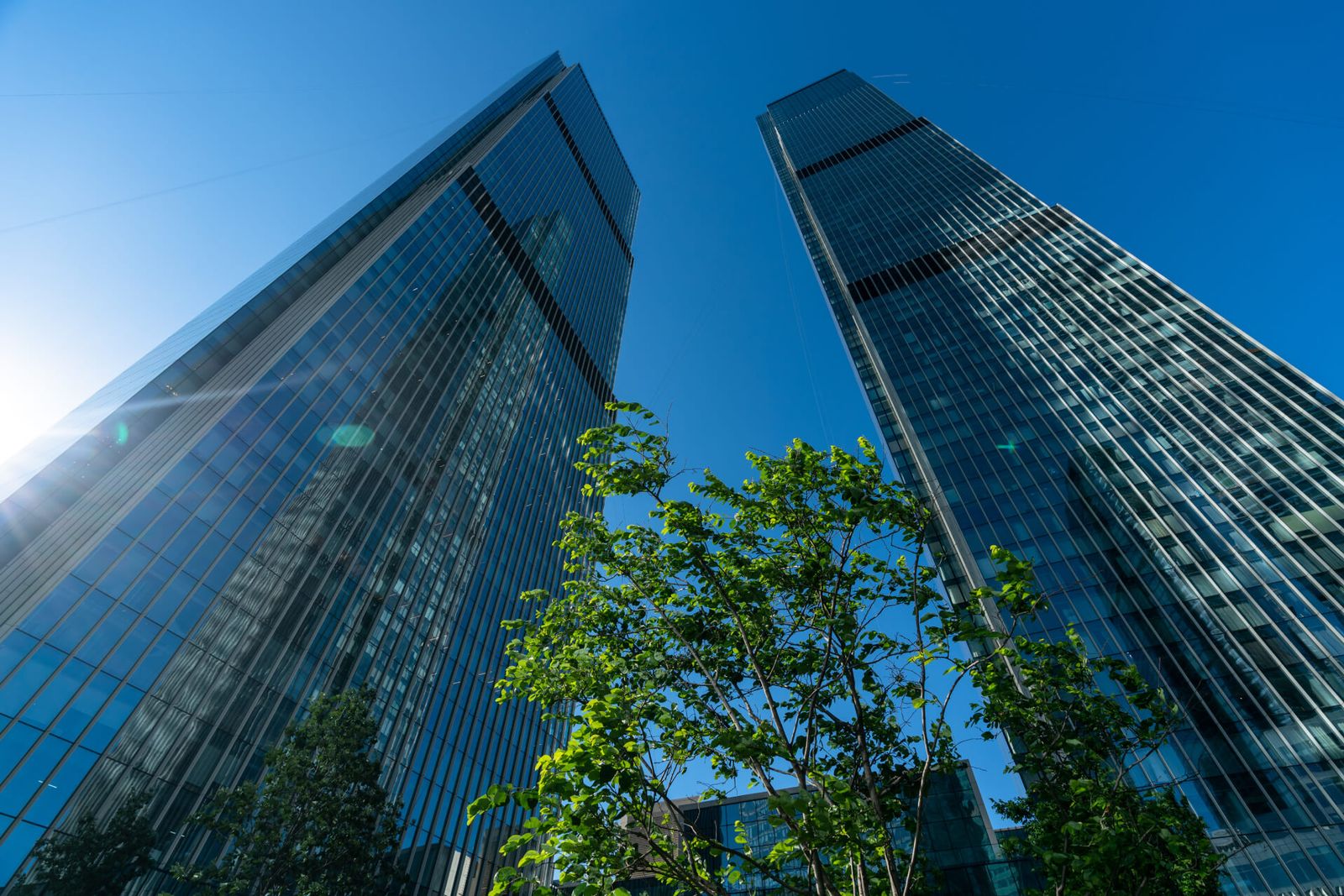Башни Neva Towers снизу вверх (сайт застройщика)